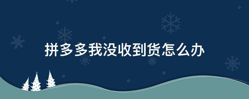 拼多多我没收到货怎么办（拼多多的货没收到怎么办）