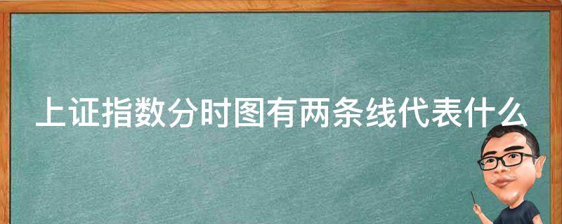 上证指数分时图有两条线代表什么（上证分时图的黄白线代表什么）