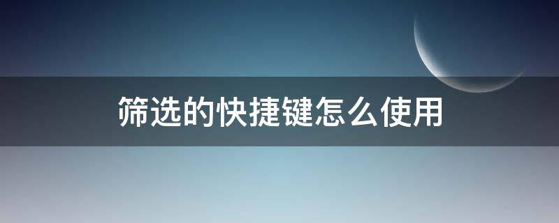 筛选的快捷键怎么使用 快捷键筛选怎么操作