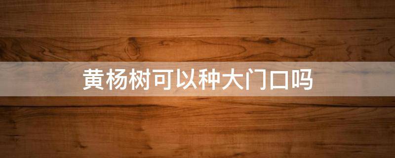 黄杨树可以种大门口吗 黄杨可以种在家门口吗?