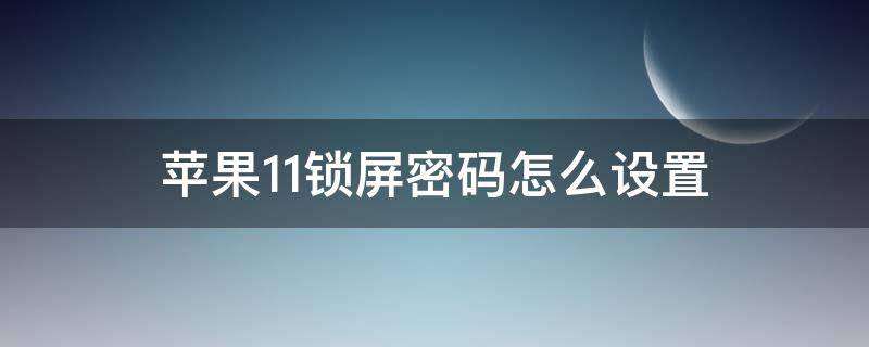 苹果11锁屏密码怎么设置（苹果11锁屏密码怎么设置六位数）