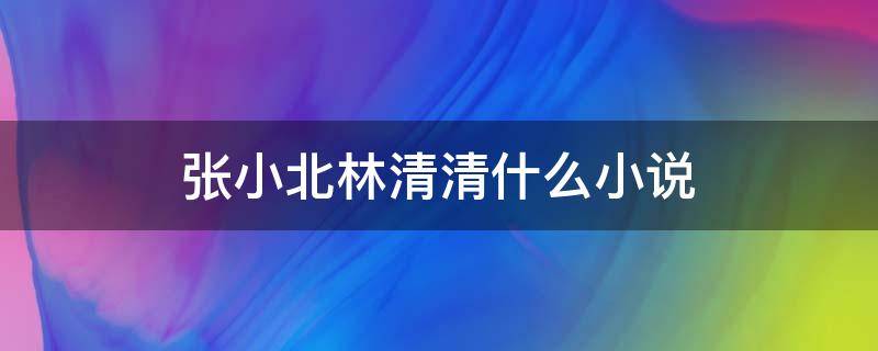 张小北林清清什么小说 张小北林清清小说叫啥名字