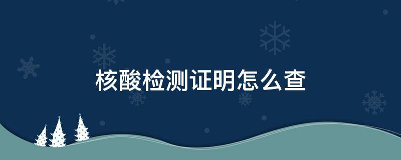 核酸检测证明怎么查 核酸检测证明怎么查询