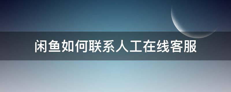 闲鱼如何联系人工在线客服（闲鱼怎么联系在线人工客服）