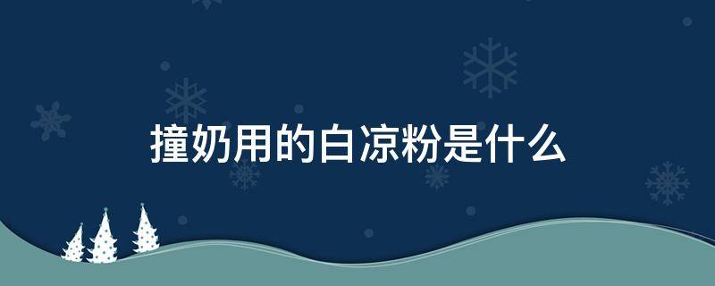 撞奶用的白凉粉是什么 撞奶加多少白凉粉