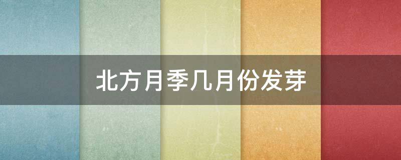 北方月季几月份发芽(冬季月季才开始发芽好吗)