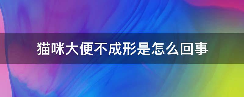 猫咪大便不成形是怎么回事（猫咪拉的屎不成形是怎么回事）