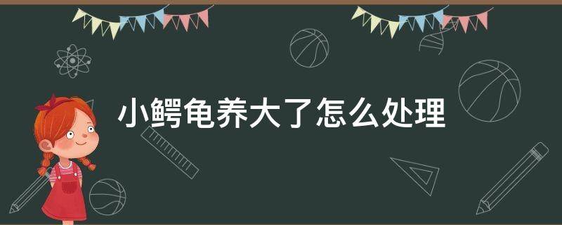 小鳄龟养大了怎么处理（鳄鱼龟养大了怎么处理）