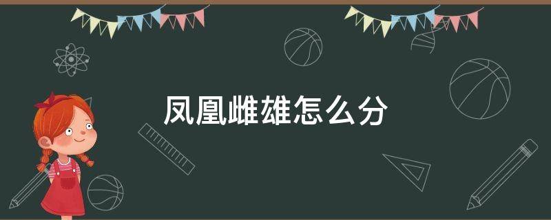 凤凰雌雄怎么分 凤凰雌雄有何区别图片