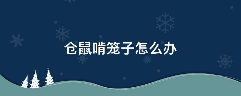 仓鼠啃笼子怎么办（小仓鼠啃笼子怎么办）