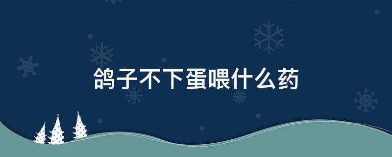 鸽子不下蛋喂什么药（鸽子不下蛋喂什么药播放）