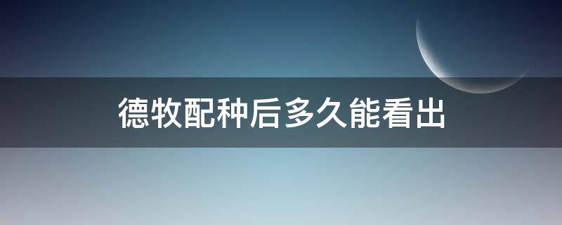 德牧配种后多久能看出 德牧犬配种要多久生