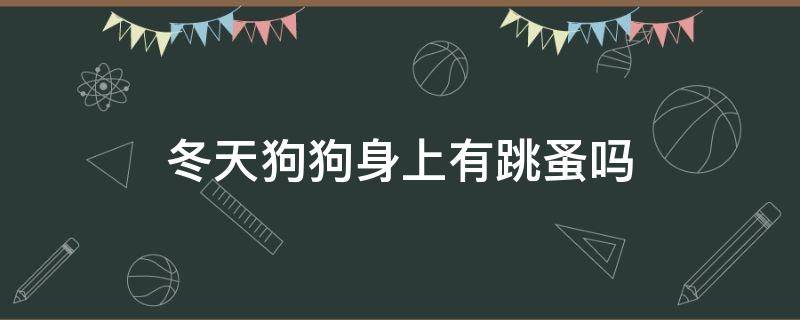 冬天狗狗身上有跳蚤吗 冬天狗的身上会不会有跳蚤