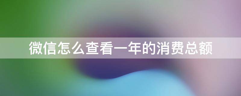 微信怎么查看一年的消费总额 微信里面怎么查一年的消费总额