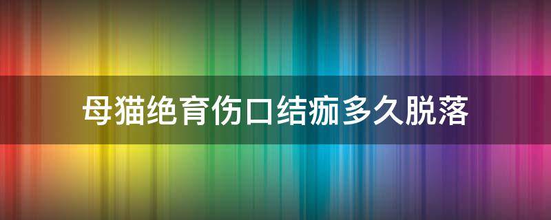 母猫绝育伤口结痂多久脱落（母猫绝育后伤口多久结痂）