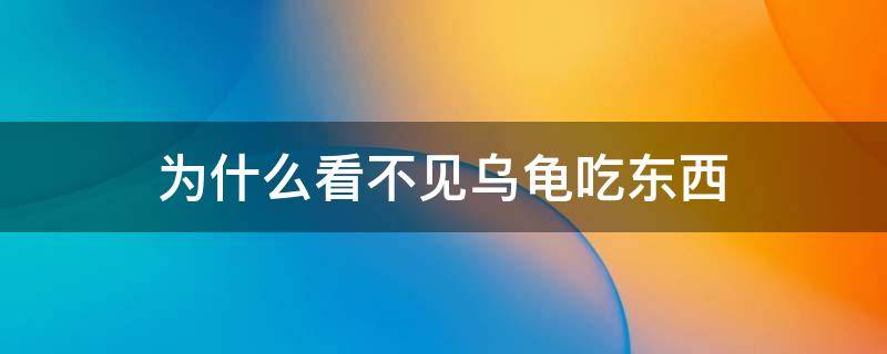 为什么看不见乌龟吃东西 为什么看不到乌龟吃东西