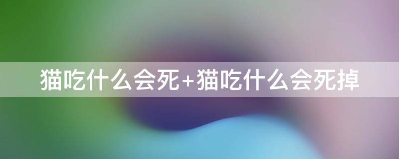 猫吃什么会死 猫吃什么会死不被发现