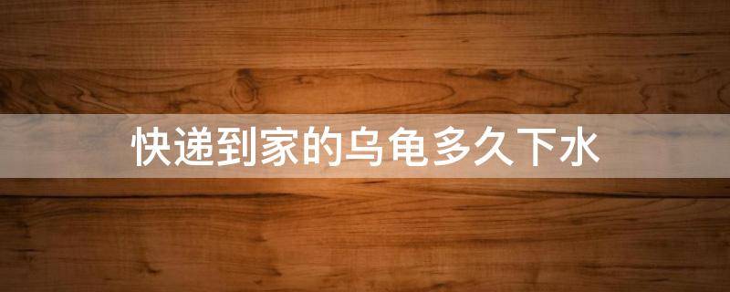 快递到家的乌龟多久下水 快递运来的龟多久能入水