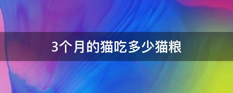 3个月的猫吃多少猫粮（三个半月猫吃多少猫粮）