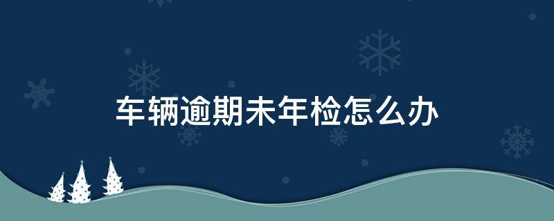 车辆逾期未年检怎么办（6年内免检车辆逾期未年检怎么办）