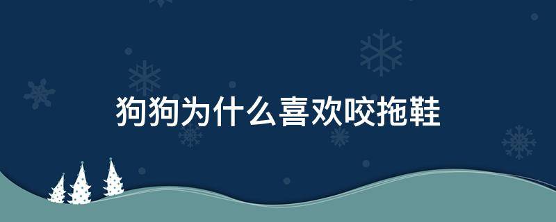 狗狗为什么喜欢咬拖鞋（狗狗为什么喜欢咬拖鞋和袜子）