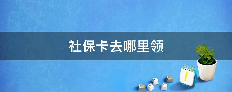 社保卡去哪里领（社保卡去哪里领取 银行还是社保局）