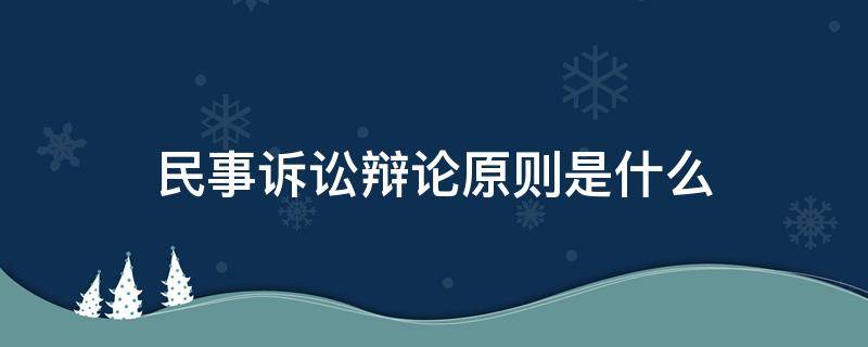 民事诉讼辩论原则是什么（民事诉讼法的辩论原则有哪些）