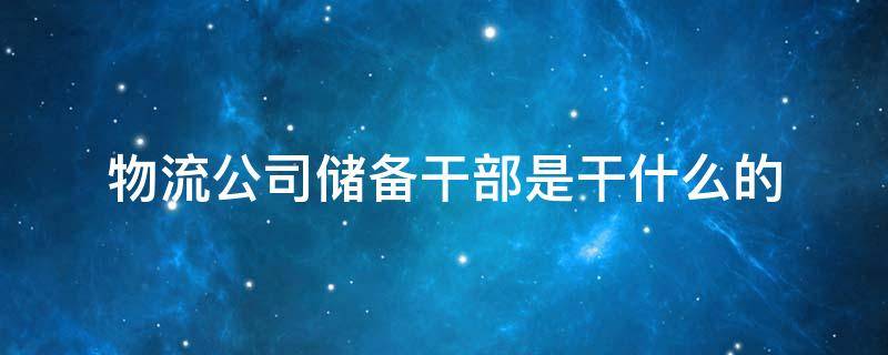 物流公司储备干部是干什么的（物流储备干部是做什么的）