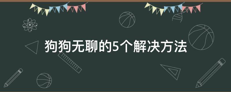 狗狗无聊的5个解决方法（狗狗无聊了怎么办）