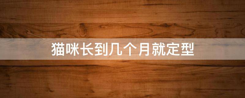 猫咪长到几个月就定型（猫一般多大就定型不长了）
