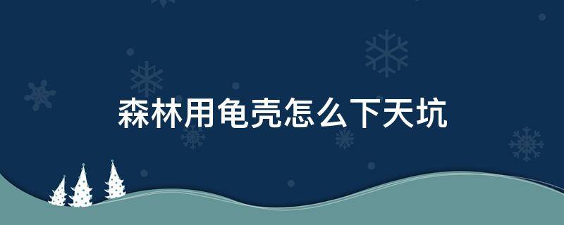 森林用龟壳怎么下天坑（森林天坑用龟壳怎么下去）