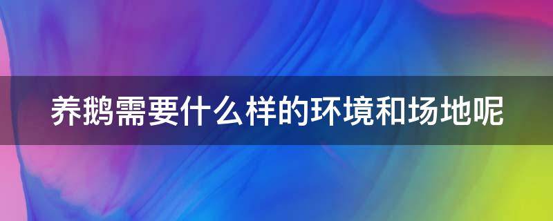 养鹅需要什么样的环境和场地呢（养鹅需要什么样的环境和场地呢视频）