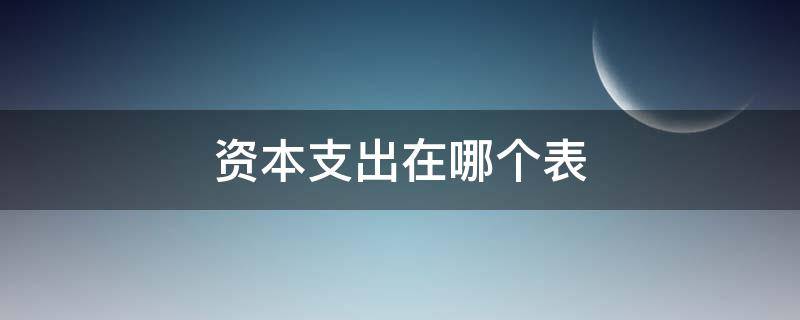 资本支出在哪个表 资本性支出在会计报表哪里