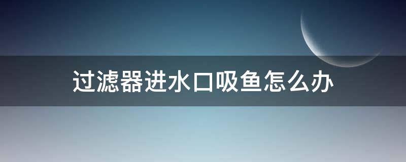 过滤器进水口吸鱼怎么办（鱼缸过滤器吸鱼怎样解决?）