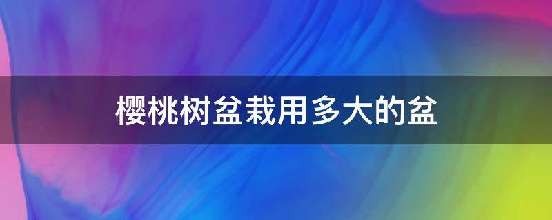 樱桃树盆栽用多大的盆（盆栽樱桃要用多大的盆）