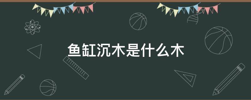 鱼缸沉木是什么木（鱼缸沉木有哪些）