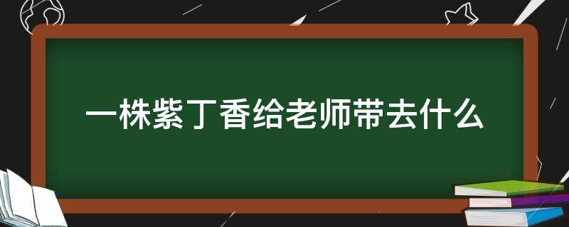 一株紫丁香给老师带去什么 一株紫丁香给老师带去了什么老师的什么之情