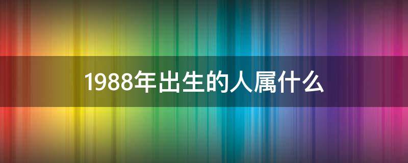 1988年出生的人属什么 1988年出生的人什么属相