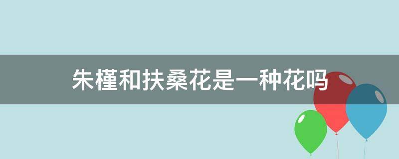 朱槿和扶桑花是一种花吗 木槿花是扶桑花也叫扶桑花吗