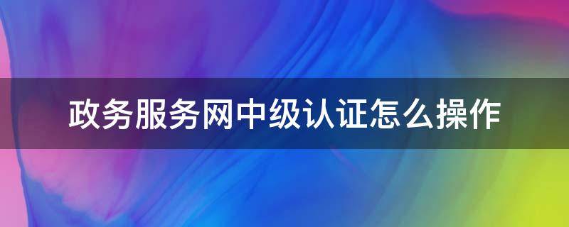 政务服务网中级认证怎么操作（政务服务网上怎么申请中级认证）