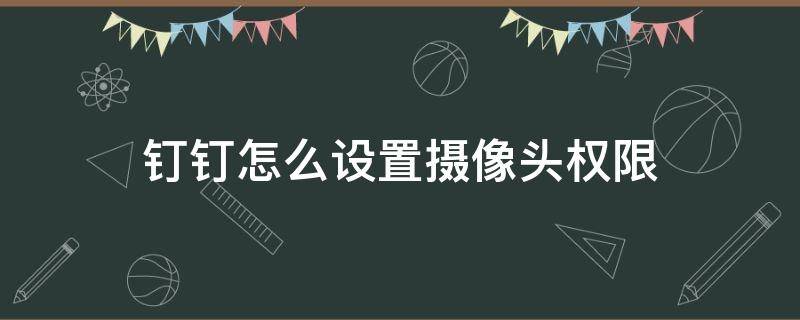 钉钉怎么设置摄像头权限 如何设置钉钉摄像头权限