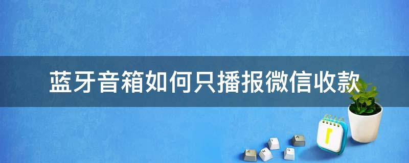 蓝牙音箱如何只播报微信收款 蓝牙音箱怎么才能只听微信收款