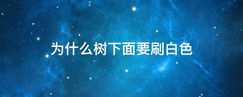 为什么树下面要刷白色（为什么树下面要刷白色的东西）