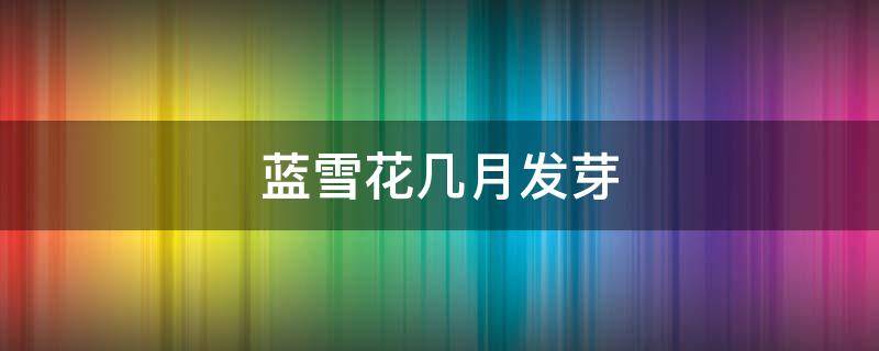 蓝雪花几月发芽（蓝雪花几月长花苞）