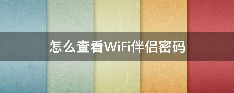 怎么查看WiFi伴侣密码(wifi伴侣怎样查看密码)