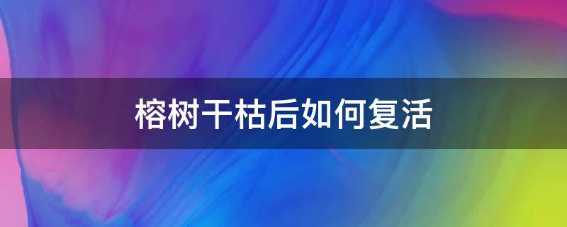 榕树干枯后如何复活 榕树枯萎了还能活么