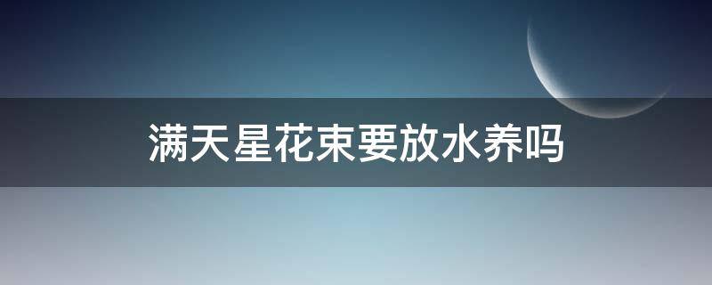 满天星花束要放水养吗 满天星花束要浇水吗