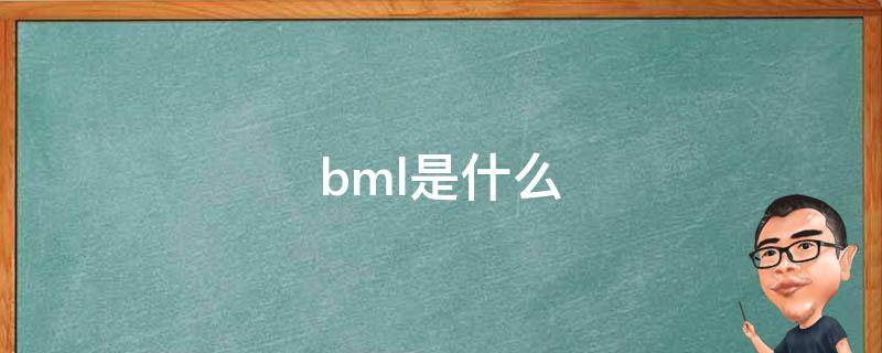 bml是什么（bml是什么意思）