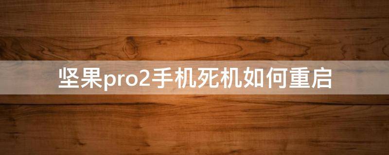 坚果pro2手机死机如何重启 坚果pro死机无法重启