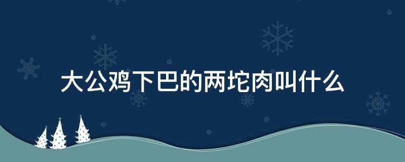 大公鸡下巴的两坨肉叫什么（大公鸡下巴的两坨肉叫什么能吃不）